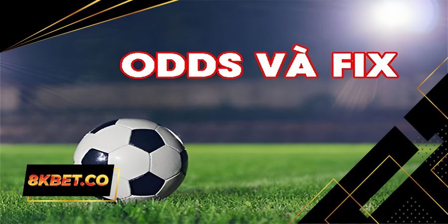 Cách đọc Odds và Fix chính xác tại 8kbet